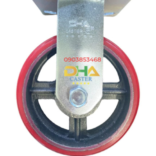 dha-caster-6-pukn-co-dinh