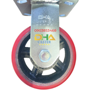 dha-caster-5-pukn-co-dinh