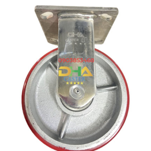 dha-caster-6-pug-inox-co-dinh